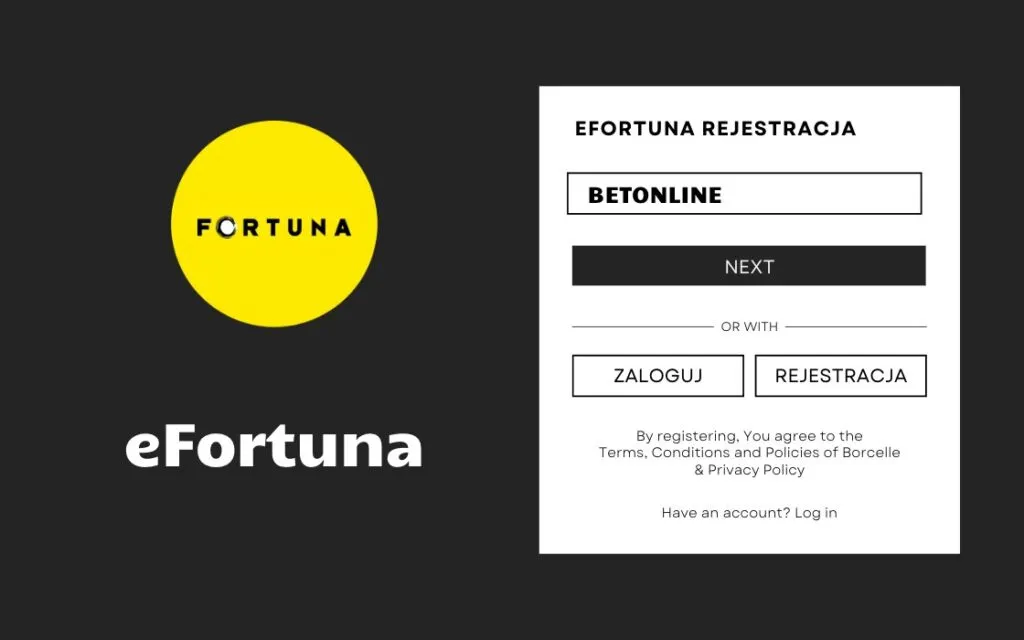 Efortuna Platform